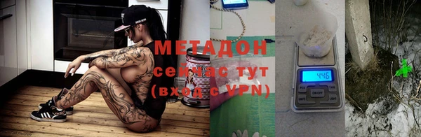 индика Дмитриев