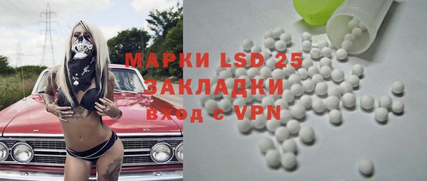 индика Дмитриев
