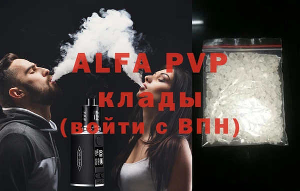 индика Дмитриев