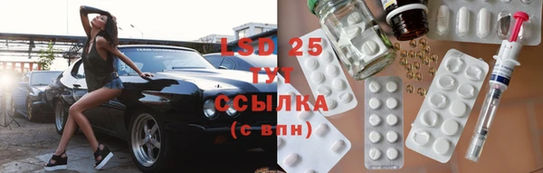 индика Дмитровск