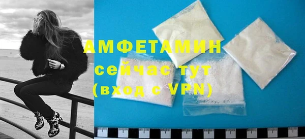 индика Дмитриев