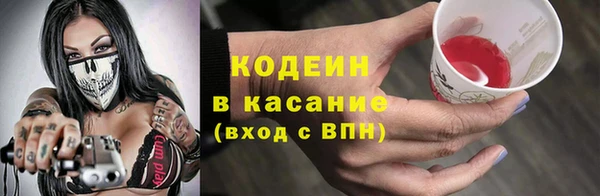 индика Дмитровск