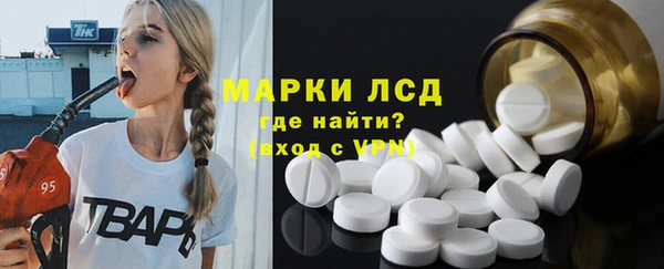 индика Дмитровск