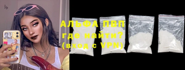 индика Дмитриев