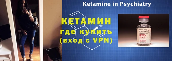 индика Дмитриев