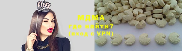 индика Дмитриев