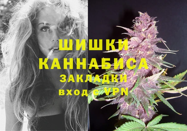 индика Дмитриев