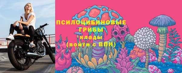 индика Дмитриев