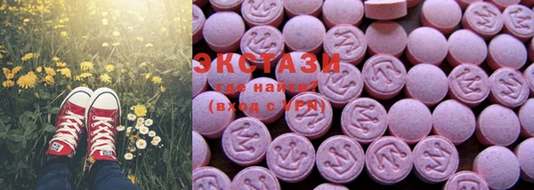 индика Дмитровск