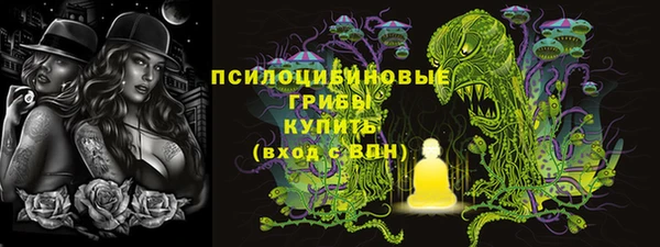 индика Дмитровск