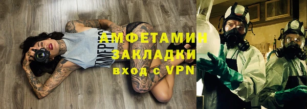 индика Дмитриев