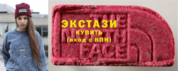 индика Дмитриев