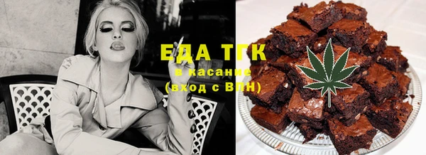 индика Дмитриев