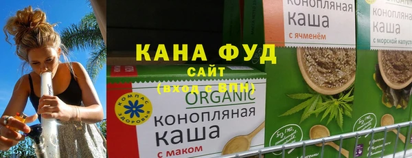 индика Дмитриев