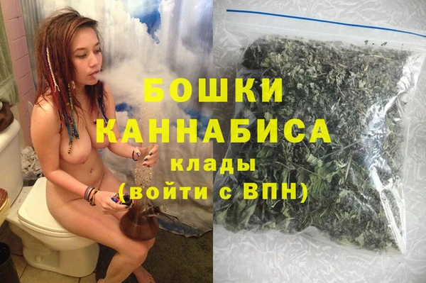 индика Дмитровск