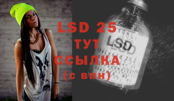 индика Дмитровск