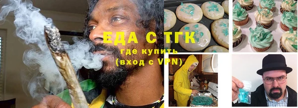 индика Дмитриев
