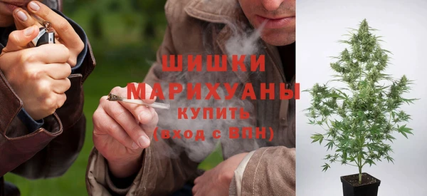 индика Дмитровск