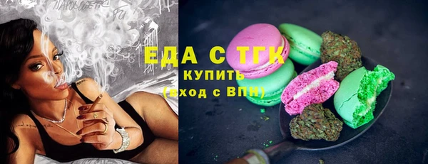 индика Дмитровск