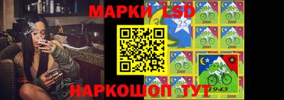 мдпв Гудермес