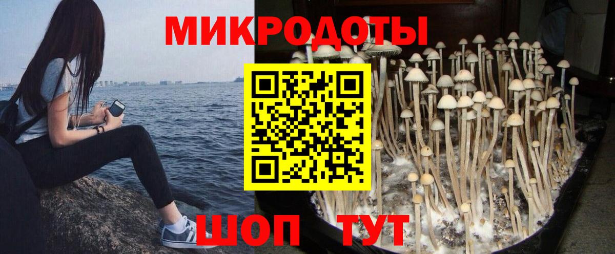 Псилоцибиновые грибы GOLDEN TEACHER  Вход с VPN  Заринск 